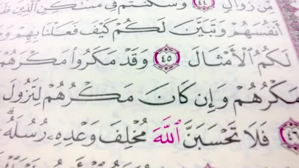 Quran Texte Das Wort Allahs Koran — Stockvideo
