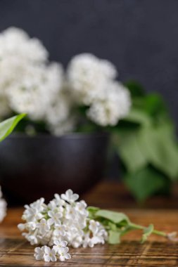 Zarif siyah Kupası ahşap arka plan üzerinde beyaz leylak narin ve güzel çiçekler. Yakın çekim.