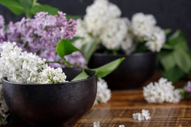 Leylak muhteşem kar-beyaz ve mor çiçekler bu zarif bardak yalan. Natürmort ahşap arka plan üzerinde. Yakın çekim.