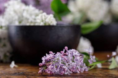 Güzel feolette ve güzel yalan bembeyaz Lila çiçek bardak siyah. Yakın çekim.