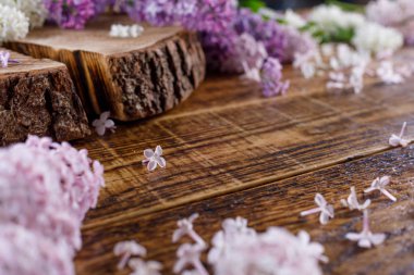 Tahta eflatun çiçekler farklı tonları ile çevrili yattım. Natürmort ahşap arka plan üzerinde.