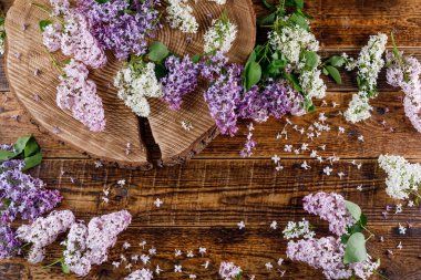 Tahta farklı tonları Lila çiçek çevreleyen plaser içinde yattım. Natürmort ahşap arka plan üzerinde.