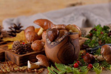 Ahşap arka plan üzerinde taze mantar hasat. Sonbahar natürmort.