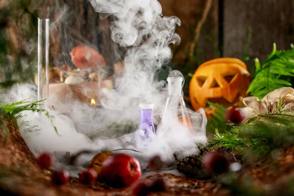 Pumpa Jack För Halloween Och Gåvorna Skogen Trä Bakgrund Ingredienser — Stockfoto