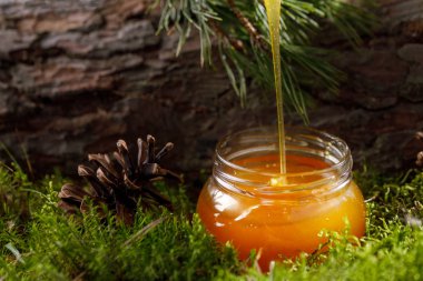 Orman moss ve ağaç kabuğu bir arka plan üzerinde bir cam kavanoza akan bal.