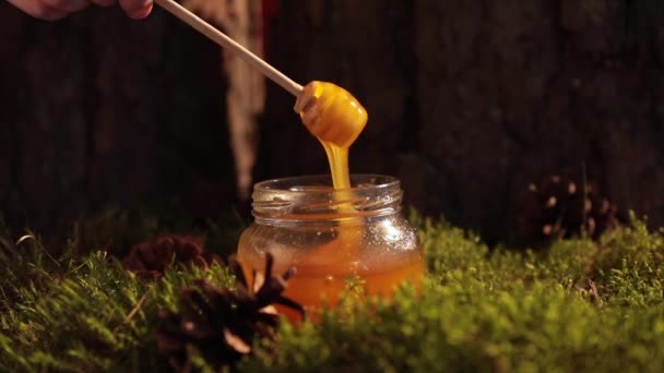 Mit Goldenem Süßem Honig Übergossen Der Auf Honiglöffel Tropft Honig — Stockvideo