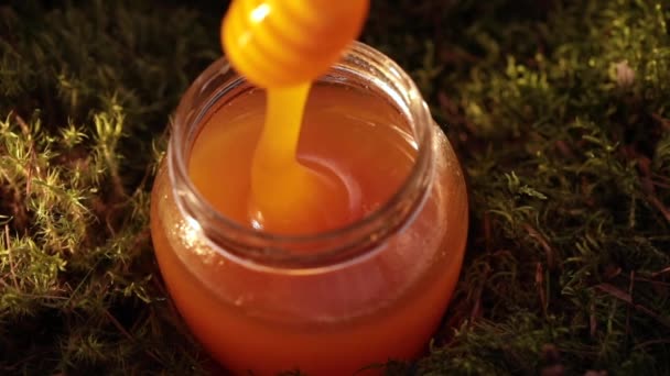 Slow Motion Honey Dripping Stick Glass Jar Close — Stock Video