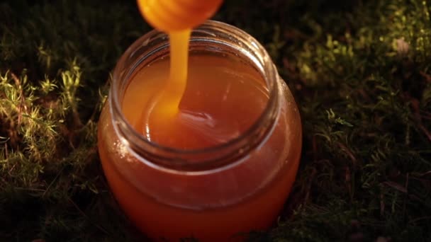 Μέλι Ρίχνει Από Μέλι Ραβδί Στο Μπολ Επιπλέον Αργή Κίνηση — Αρχείο Βίντεο