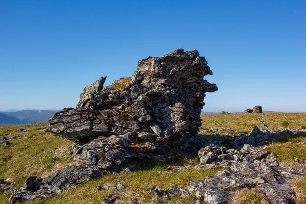 青空山高原の石のピーク 北ウラル山脈の高原地帯 Kurumnik と大河の草が地形をカバーします 北ウラル — ストック写真