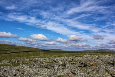 Dağ tundra doğal görünümünü. Kuzey Ural Rusya. Faaliyetleri ve Turizm. Güzel panoramik manzarası. Dağ manzarası.