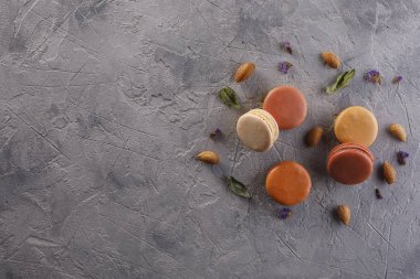 Badem fındık ile dokulu gri arka plan üzerinde macarons lezzetli pastel tonları. Yukarıdan görüntülemek.
