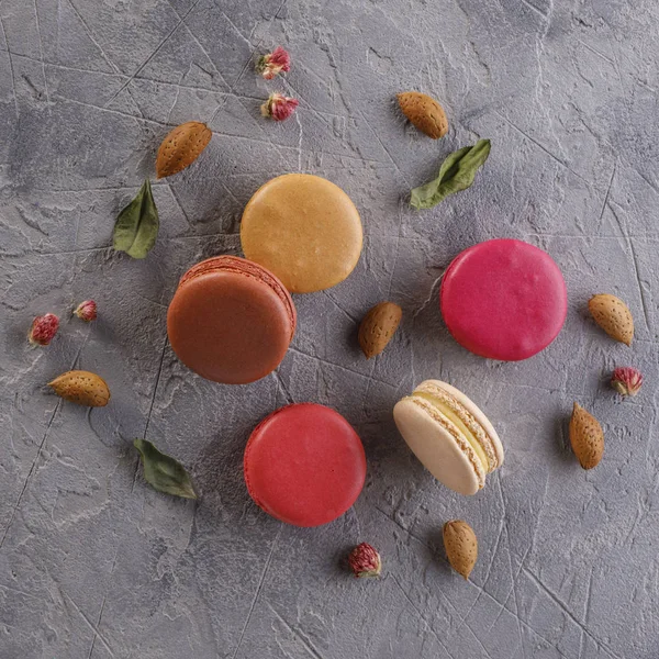 Macaroons Layout Criativo Macaroons Nozes Amêndoa Deitado Conceito Nutrição — Fotografia de Stock