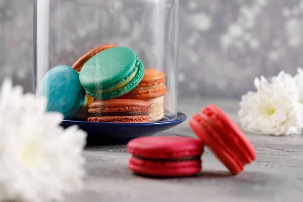 Macarons Unter Einer Glaskuppel Auf Grauem Hintergrund Und Zwei Rosa — Stockfoto