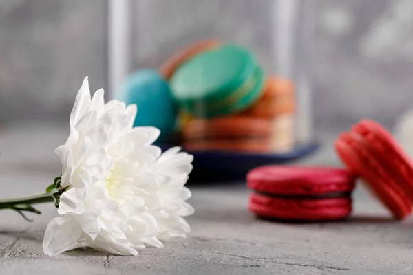 Macarrones Una Cúpula Vidrio Sobre Fondo Gris Dulces Macarrones Copiar — Foto de Stock