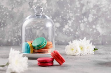 Macarons bir cam kubbe üzerinde gri bir arka plan ve ön planda kasımpatı çiçekleri ile iki pembe macarons altında. Yakın çekim. Hassas macarons macarons.