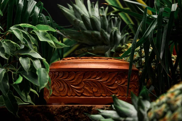 Begreppet Djungel Och Treasure Chest Tropiska Växter Närbild — Stockfoto