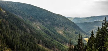 Güzel panorama bir kartpostal veya takvim için. Yeşil yamaçları ve tepelerin görünümünü. Dağ manzarası bir yaz gününde. Dağlarda yaz.