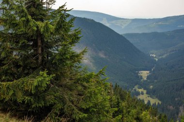 Dağlarda yaz. Güzel panorama bir kartpostal veya takvim için. Yemyeşil yamaçlar ve tepeler ve vadiler görünümünü. Bir yaz gününde dağ manzarası.