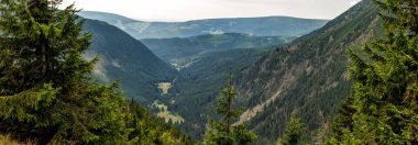 Güzellik doğa orman manzara. Yeşil vadi boyunca orman manzarası. Dağlık bölgelerde yaz. Güzel manzara bir kartpostal veya takvim için. Yolculuk.
