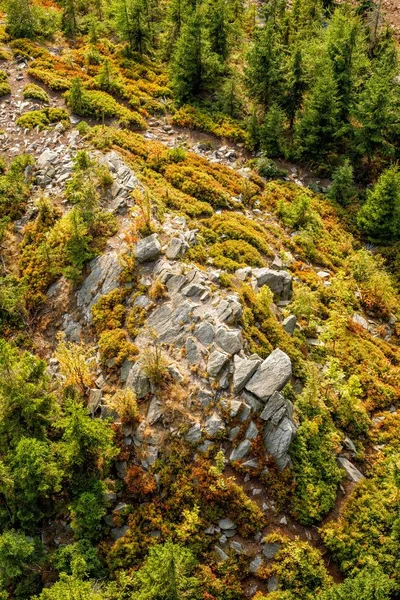 Vue Sur Forêt Depuis Sommet Attraction Dans Village Tchèque Dolni — Photo