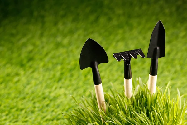 omposition with gardening equipment and space for text on green grass.