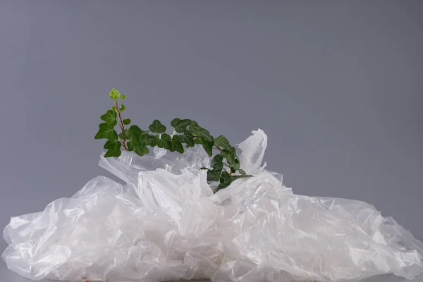 Bindweed plant in a heap of plastic. Concept of environmental protection and plastic processing.