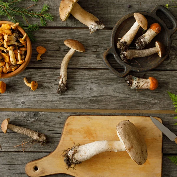 Setas sobre fondo de madera vieja. Tarjeta en otoño o verano — Foto de Stock