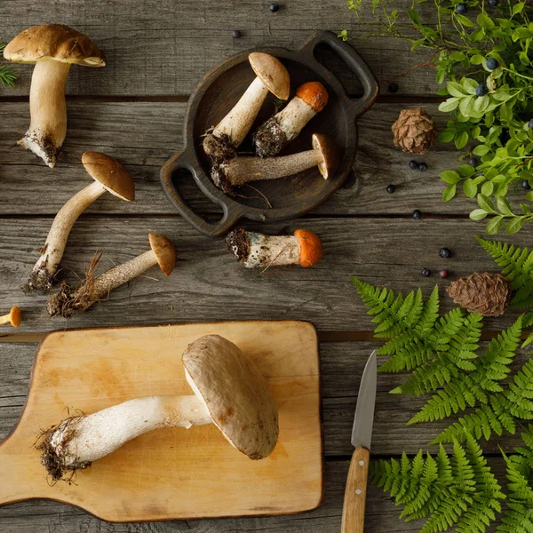 Paddestoelen op oude houten achtergrond. Kaart in de herfst of zomer. Oogst van het bos. Boletus, cantharellen, bladeren, bessen. Platte lag. Square. — Stockfoto