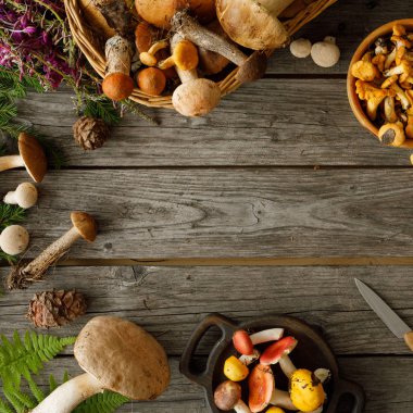 Eski ahşap arka planda mantarlar. Sonbaharda veya yaz aylarında kart