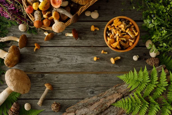 Setas sobre fondo de madera vieja. Tarjeta en otoño o verano. Cosecha forestal. Boletus, cantarelas, hojas, bayas. Puesta plana . — Foto de Stock