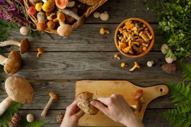 Eski ahşap arka planda mantarlar. Sonbahar veya yaz aylarında kart. Orman hasadı. Boletus, chanterelles, yapraklar, çilek. Düz yatıyordu.