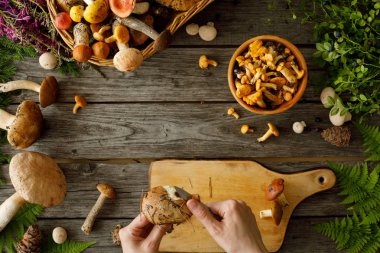 Eski ahşap arka planda mantarlar. Sonbahar veya yaz aylarında kart. Orman hasadı. Boletus, chanterelles, yapraklar, çilek. Düz yatıyordu.
