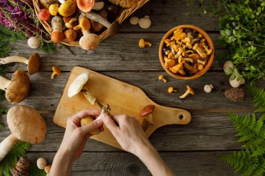 Eski ahşap arka planda mantarlar. Sonbaharda veya yaz aylarında kart