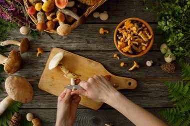 Eski ahşap arka planda mantarlar. Sonbaharda veya yaz aylarında kart