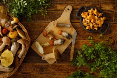 Eski ahşap arka planda mantarlar. Sonbaharda veya yaz aylarında kart