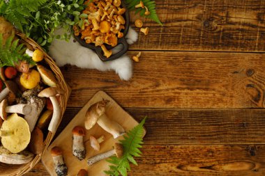 Eski ahşap arka planda mantarlar. Sonbaharda veya yaz aylarında kart