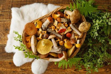 Eski ahşap arka planda mantarlar. Sonbaharda veya yaz aylarında kart