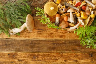 Eski ahşap arka planda mantarlar. Sonbaharda veya yaz aylarında kart