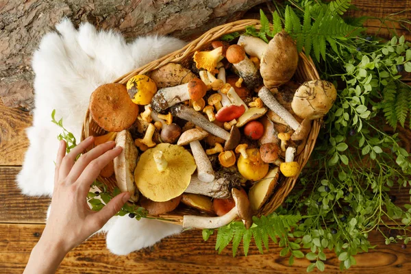 Paddestoelen op oude houten achtergrond. Kaart in de herfst of zomer — Stockfoto