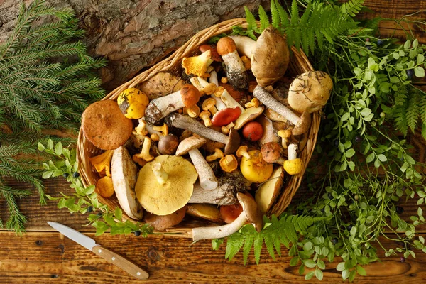 Eski ahşap arka planda mantarlar. Sonbaharda veya yaz aylarında kart