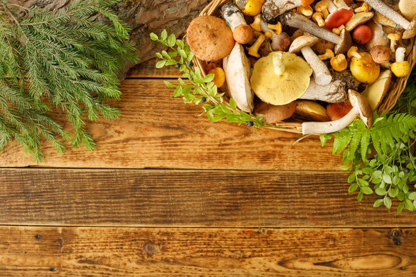 Paddestoelen op oude houten achtergrond. Kaart in de herfst of zomer — Stockfoto