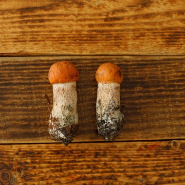 Ahşap bir arka plan üzerine serilmiş iki kızıl başlı mantar. Düz yatıyordu.