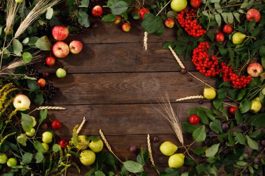 Sonbahar meyve, elma ve armut ahşap arka plan Çerçeve. Kopya alanı. Hasat konsepti.
