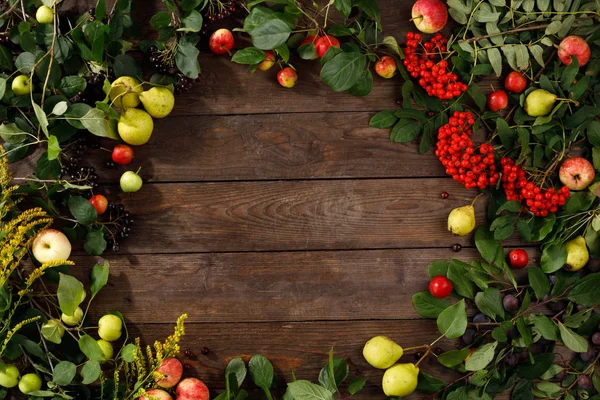 Sonbahar meyve, elma ve armut ahşap arka plan Çerçeve. Kopya alanı. Hasat konsepti.