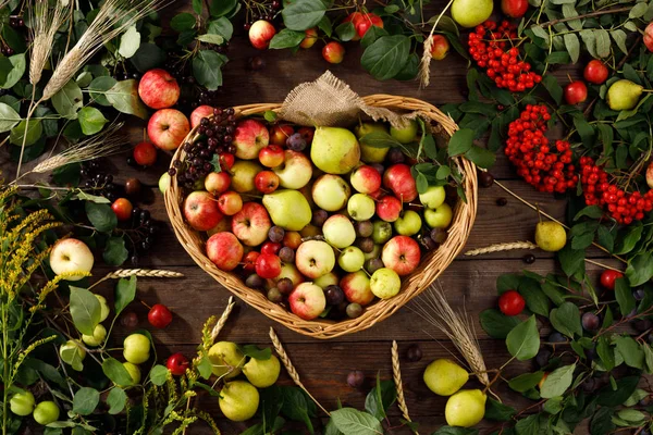 Cornice di frutta autunnale, mele e pere fondo in legno. Ricevuto. Concetto di raccolta. Un cesto pieno di frutta . — Foto Stock