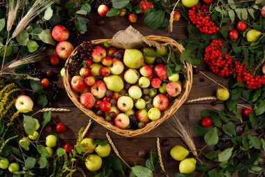Sonbahar meyve, elma ve armut ahşap arka plan Çerçeve. Kopya alanı. Hasat konsepti. Meyve dolu bir sepet. Sulu sonbahar meyveleri.