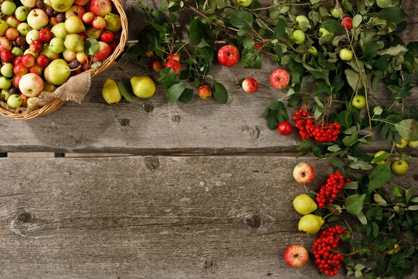 Cornice di frutta autunnale, mele e pere fondo in legno. Ricevuto. Concetto di raccolta . — Foto Stock