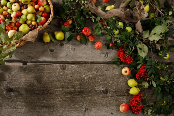 Рамка осенних фруктов, яблок и груш деревянный фон. Принято. Концепция сбора урожая . — стоковое фото