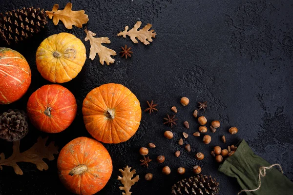 Autumn frame made of pumpkins, tree leaves, hazelnuts on black background. Autumn, fall, thanksgiving concept. Flat lay, copy space.