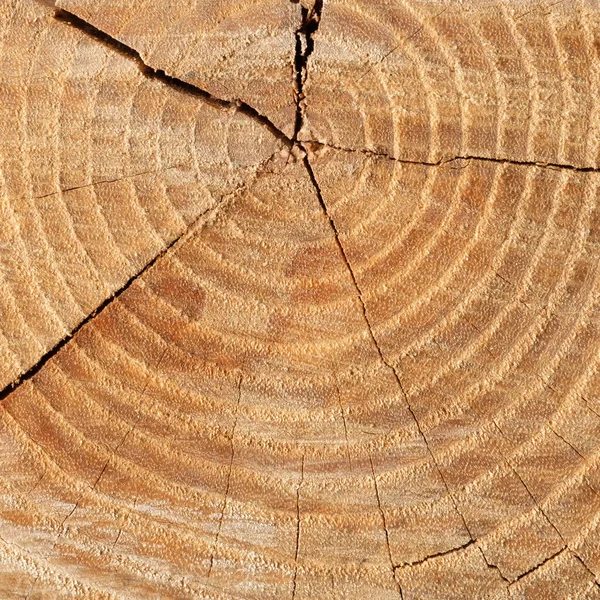 Struttura Legno Superficie Sfondo Con Vecchio Modello Naturale Texture Fondo — Foto Stock